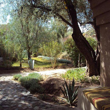 Dar Lorkam Bed & Breakfast Skoura Exterior foto