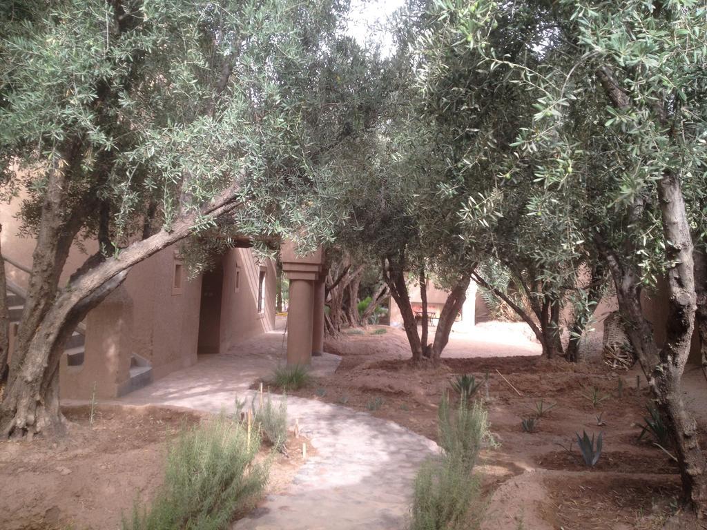 Dar Lorkam Bed & Breakfast Skoura Exterior foto