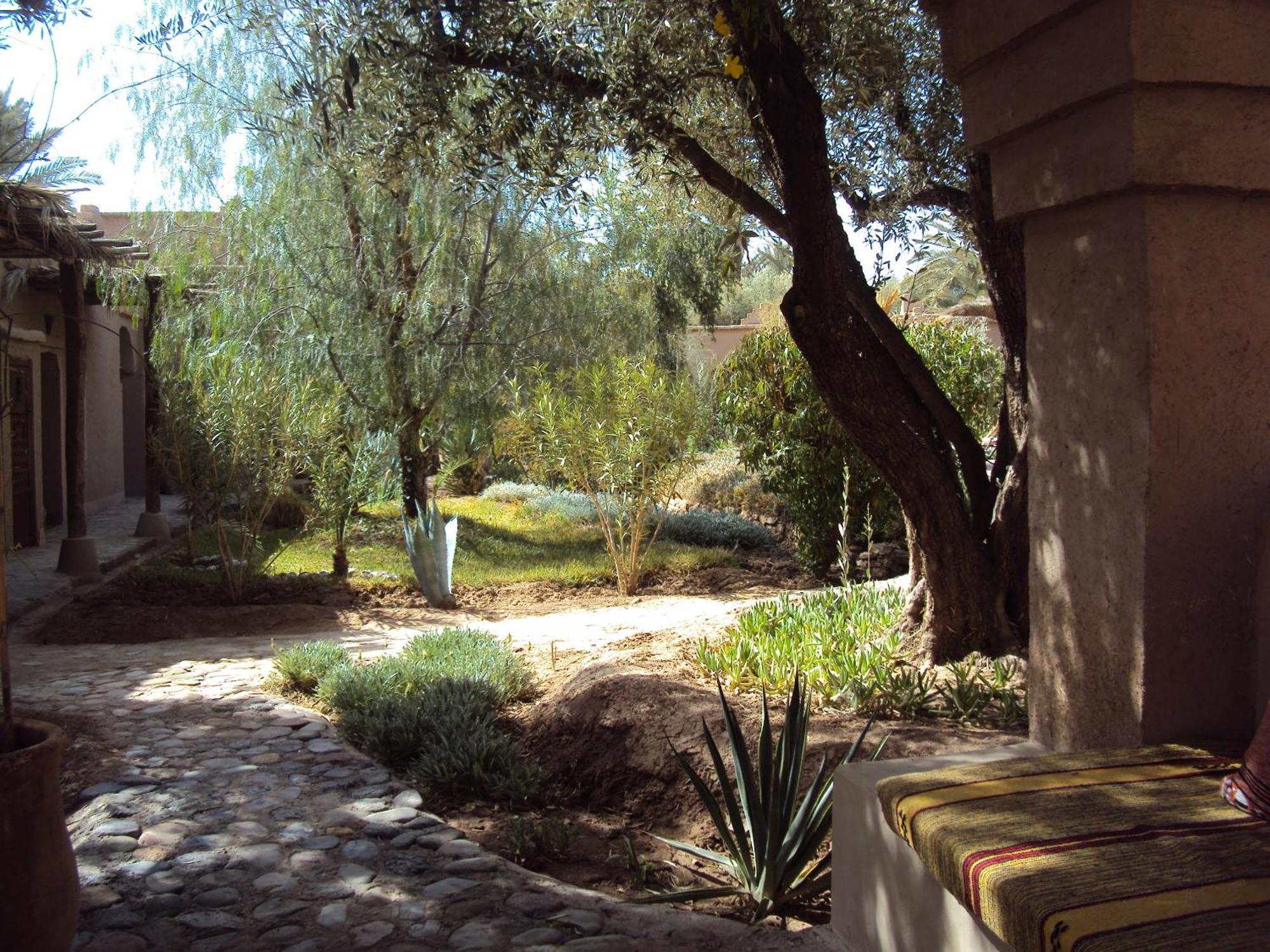 Dar Lorkam Bed & Breakfast Skoura Exterior foto