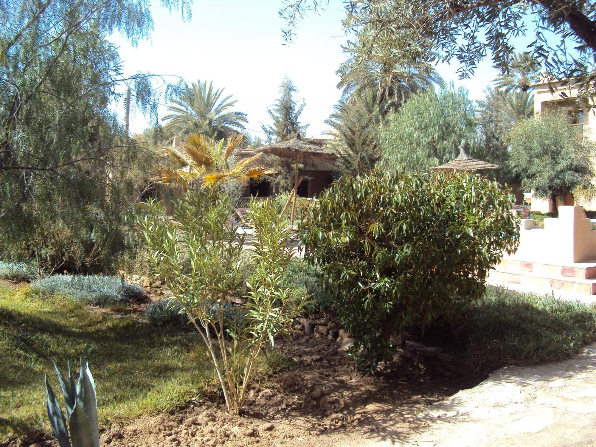 Dar Lorkam Bed & Breakfast Skoura Exterior foto