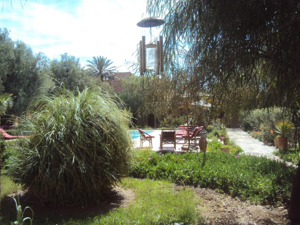 Dar Lorkam Bed & Breakfast Skoura Exterior foto