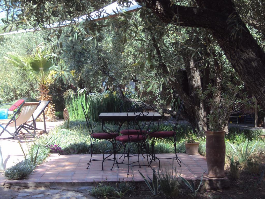 Dar Lorkam Bed & Breakfast Skoura Exterior foto