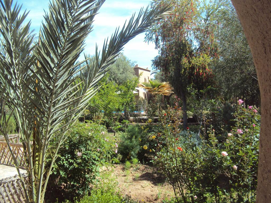 Dar Lorkam Bed & Breakfast Skoura Exterior foto