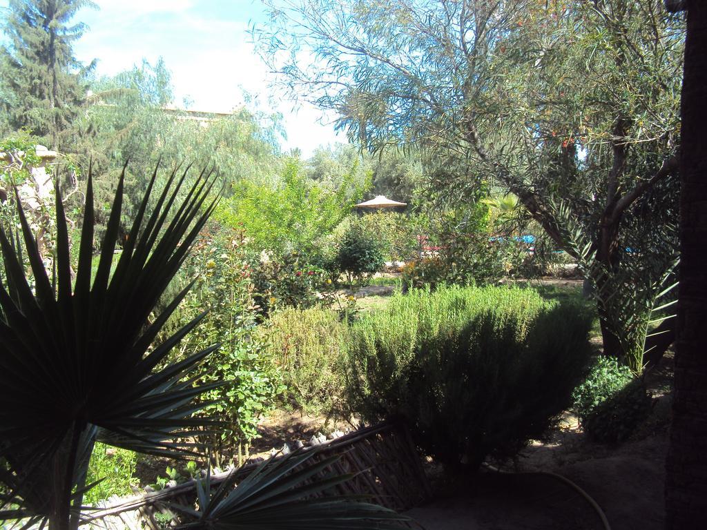 Dar Lorkam Bed & Breakfast Skoura Exterior foto