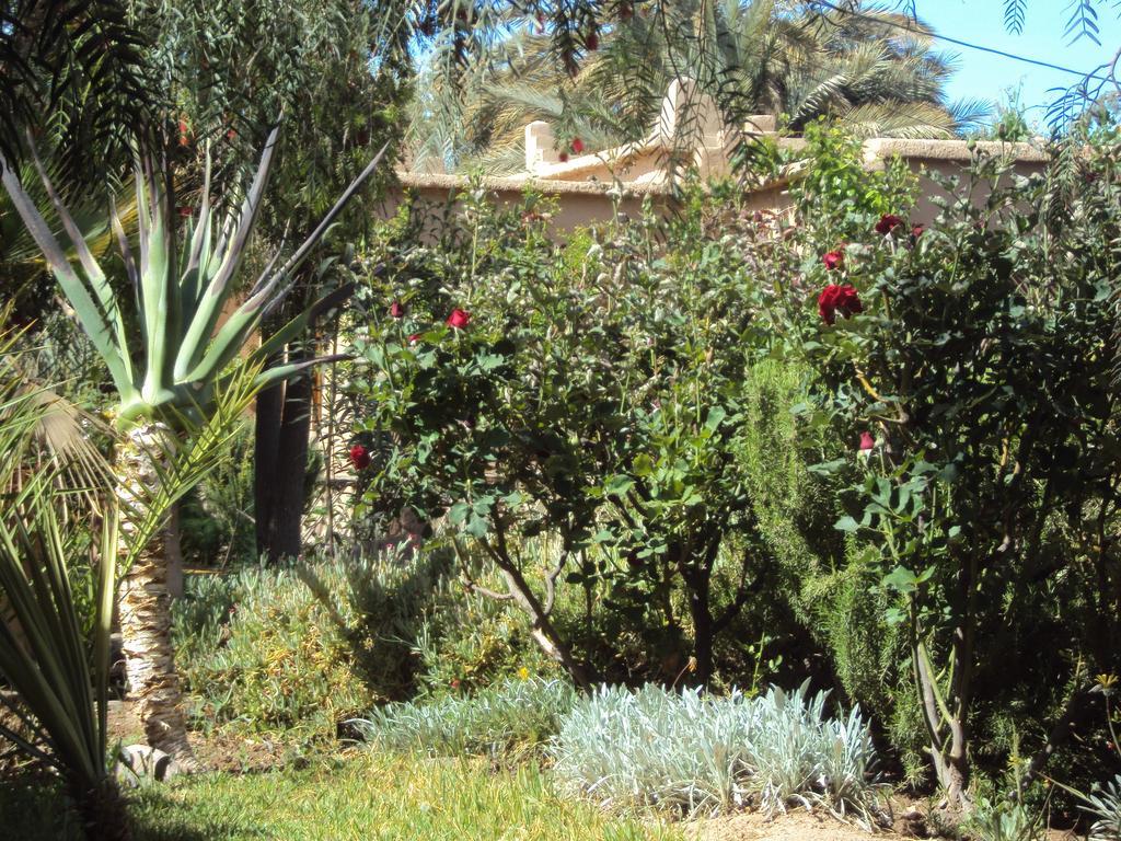 Dar Lorkam Bed & Breakfast Skoura Exterior foto