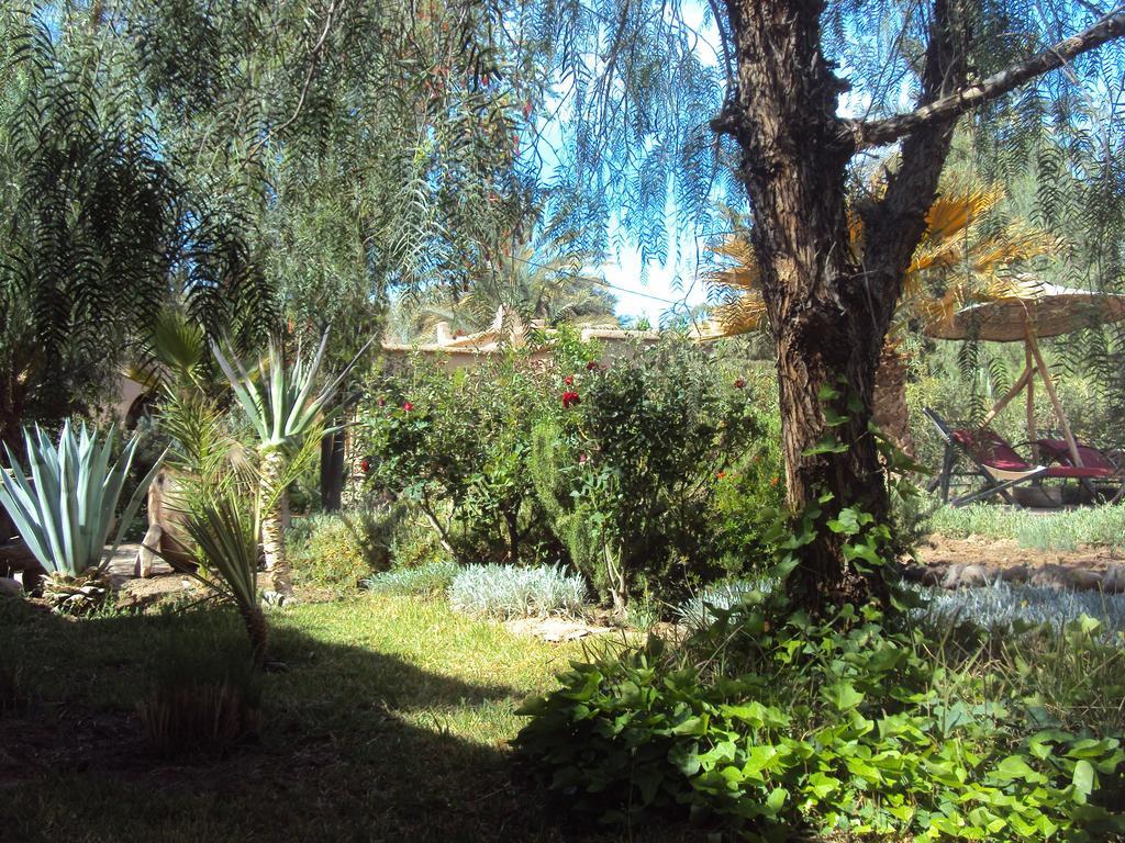Dar Lorkam Bed & Breakfast Skoura Exterior foto