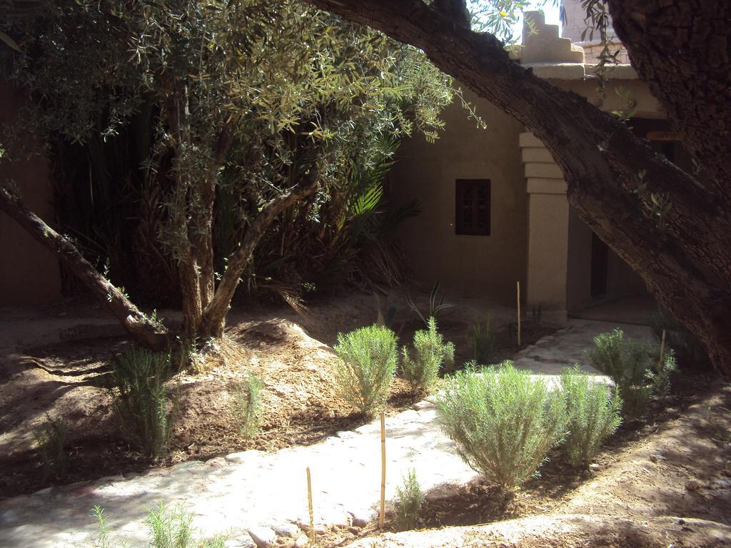 Dar Lorkam Bed & Breakfast Skoura Exterior foto