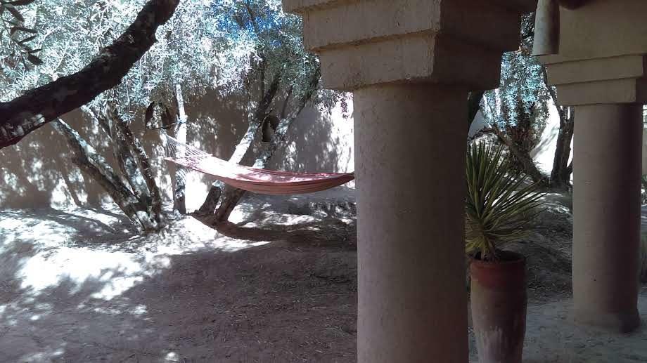 Dar Lorkam Bed & Breakfast Skoura Exterior foto