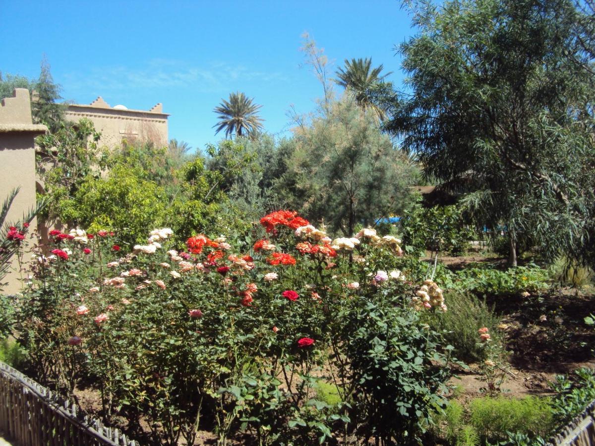 Dar Lorkam Bed & Breakfast Skoura Exterior foto