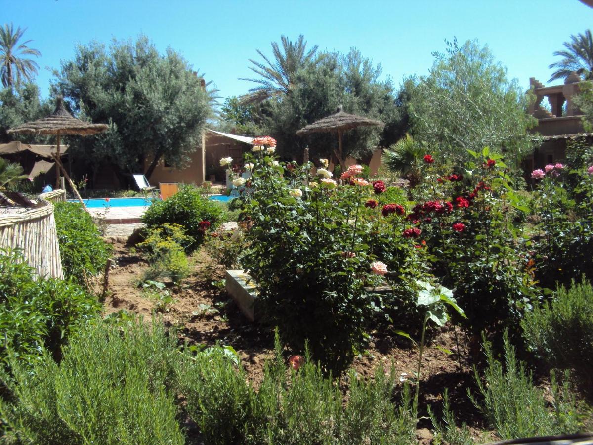 Dar Lorkam Bed & Breakfast Skoura Exterior foto
